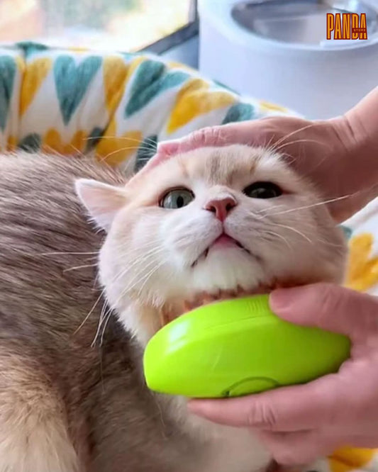 Cepillo de Vapor 3 en 1 para Mascotas